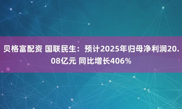 贝格富配资 国联民生：预计2025年归母净利润20.08亿元 同比增长406%