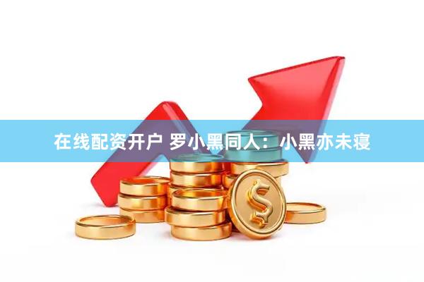 在线配资开户 罗小黑同人：小黑亦未寝